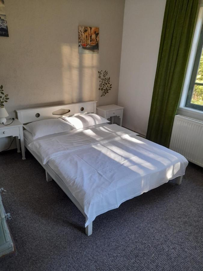 Casa Gabriela Villa Sinaia Eksteriør bilde