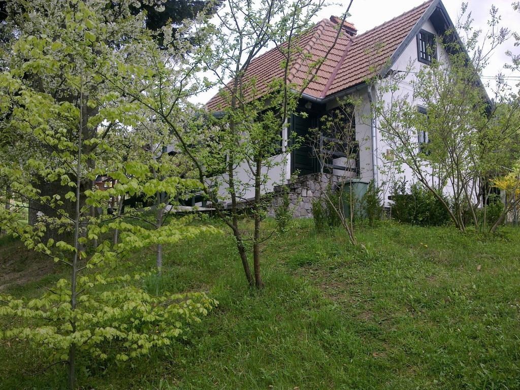 Casa Gabriela Villa Sinaia Rom bilde