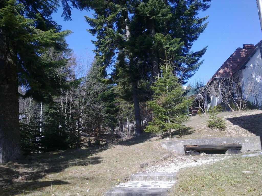 Casa Gabriela Villa Sinaia Rom bilde