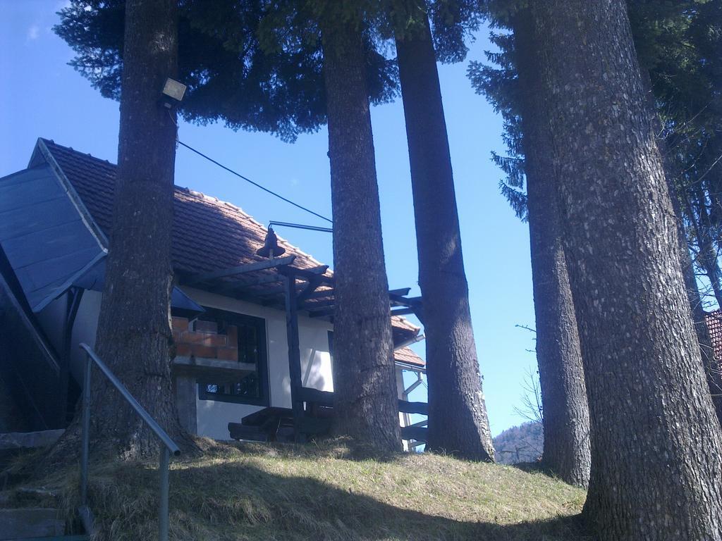 Casa Gabriela Villa Sinaia Rom bilde