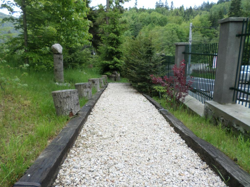 Casa Gabriela Villa Sinaia Eksteriør bilde