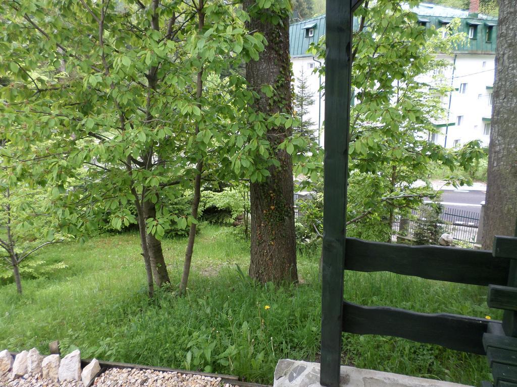 Casa Gabriela Villa Sinaia Eksteriør bilde
